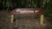 Top Ellijay