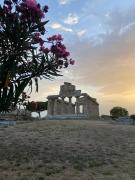 Top Paestum