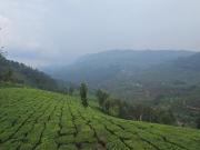 Top Munnar