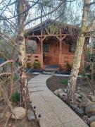 Top Pszczółki Top Pszczółki