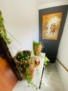 Casa Bela Vista - Praia do Forte