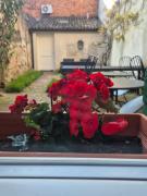 19 Borgo Cavour 19 Borgo Cavour