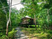Top Khao Sok