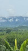 Top Phangnga