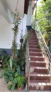 Top Wayanad