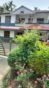 Top Wayanad