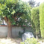 Top Lézignan-Corbières