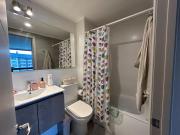 Top Villarrica Top Villarrica