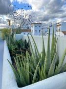 Romantic rooftop apartment with stunning sea and mountain views