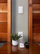 Top Tepatitlán de Morelos Top Tepatitlán de Morelos