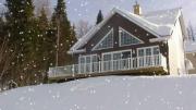 Chalet Alpin