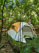 Top Cuetzalan del Progreso