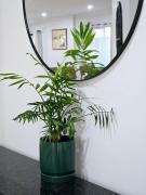 Top Williams Landing