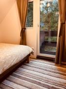 Top Muntele Băişorii