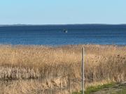 Top Dargobądz Top Dargobądz