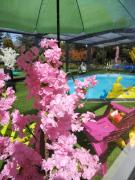 Top Saint-Priest-des-Champs