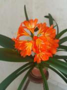 Top Saint-Nicolas-de-Redon