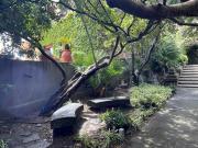 Top Monterosso al Mare