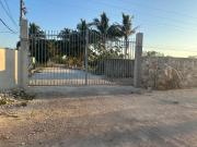 Top Motul de Felipe Carrillo Puerto