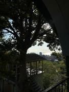 Apartment Green House