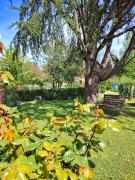 Top Mariano del Friuli