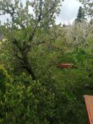 Top Budakalász Top Budakalász