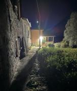 Top Calice al Cornoviglio Top Calice al Cornoviglio