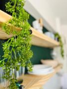 Nueva Cordoba - MONO