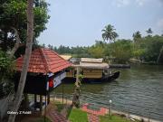 Top Alleppey