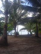 Top Karimunjawa