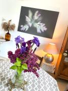 La maison du 1, Vexin