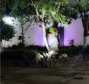 Top Xicotepec de Juárez