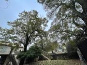 Top Saint-Victor-la-Coste