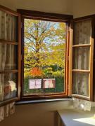 Top Chiesina Uzzanese