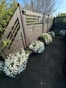 Top Schweighouse-sur-Moder