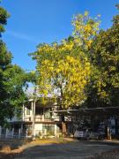 Whales Come to the River - Riverside - 3 rooms on 2nd floor