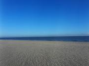 Private Logies Texel Woodart