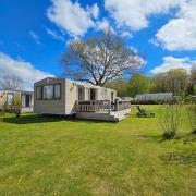 Chalet Zomerdroom Gasselte