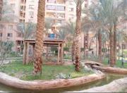 Luxury Stay in City Towers Compound