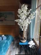 Top Lège-Cap-Ferret