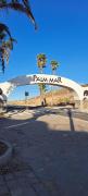 Top Palm-mar