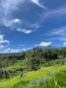 Top Tetebatu