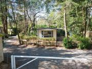 Chalet in Hattemerbroek Boshuisje Dennenrust