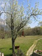 Top Cavaso del Tomba