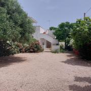 Top Punta Prosciutto