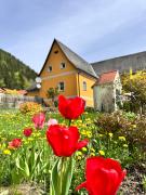 Ferienwohnung-Mixnitz-Bärenschützklamm 3