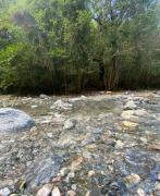 Top Pantanillo