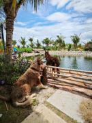 Top Ấp Phú Hiệp