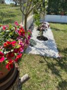 Golden house Golden house