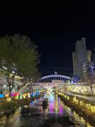 Top Seoul